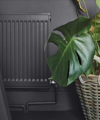 Radiator painted in graphite coloured paint to match wall, next to a house plant in a basket