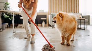 Lady mopping floor with dog