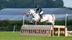 Tiggy's Trust Cheltenham launch: the home of jump racing will be a &lsquo;sea of yellow&rsquo; to mark the foundation&rsquo;s launch