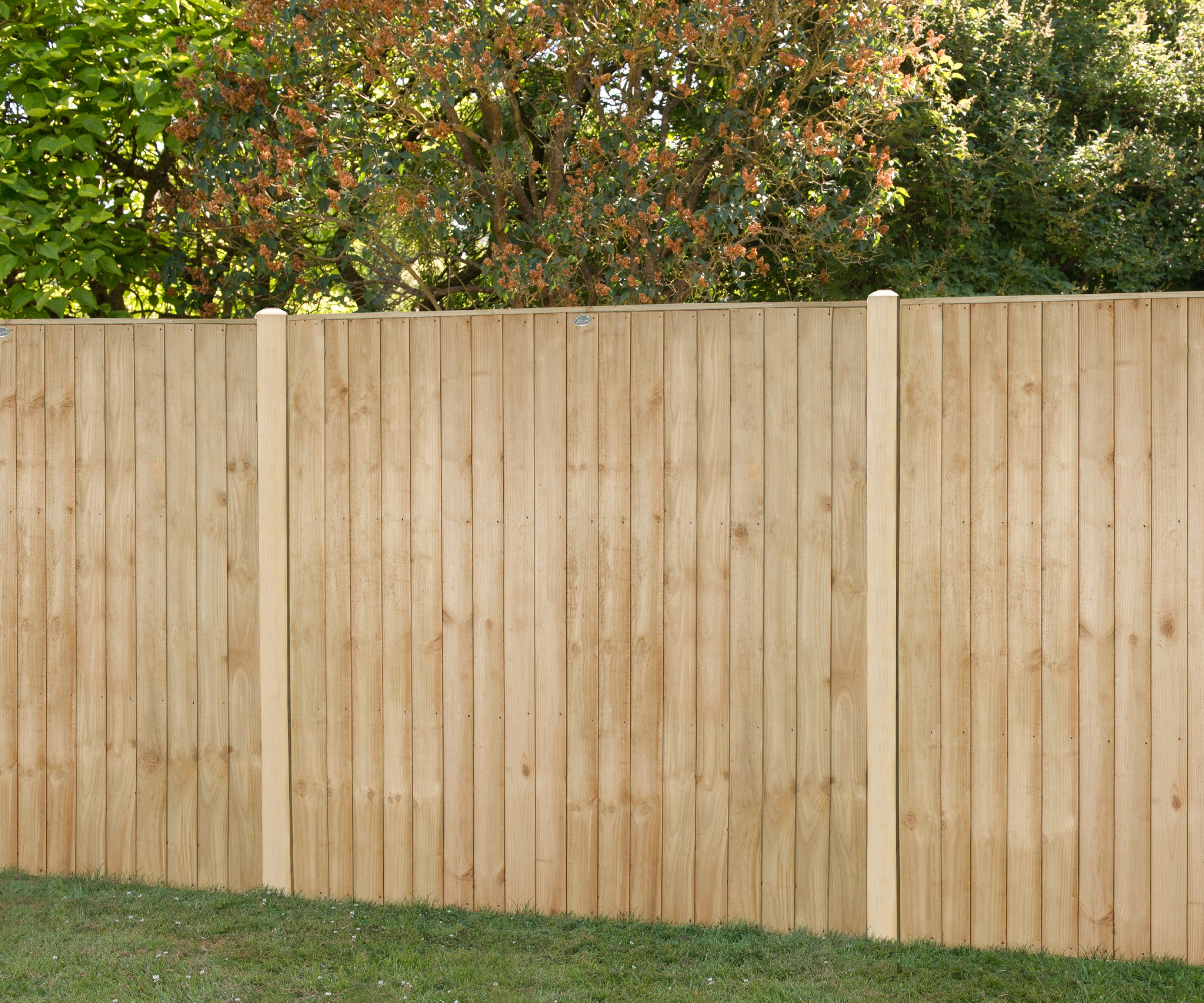 closeboard fence panels in garden