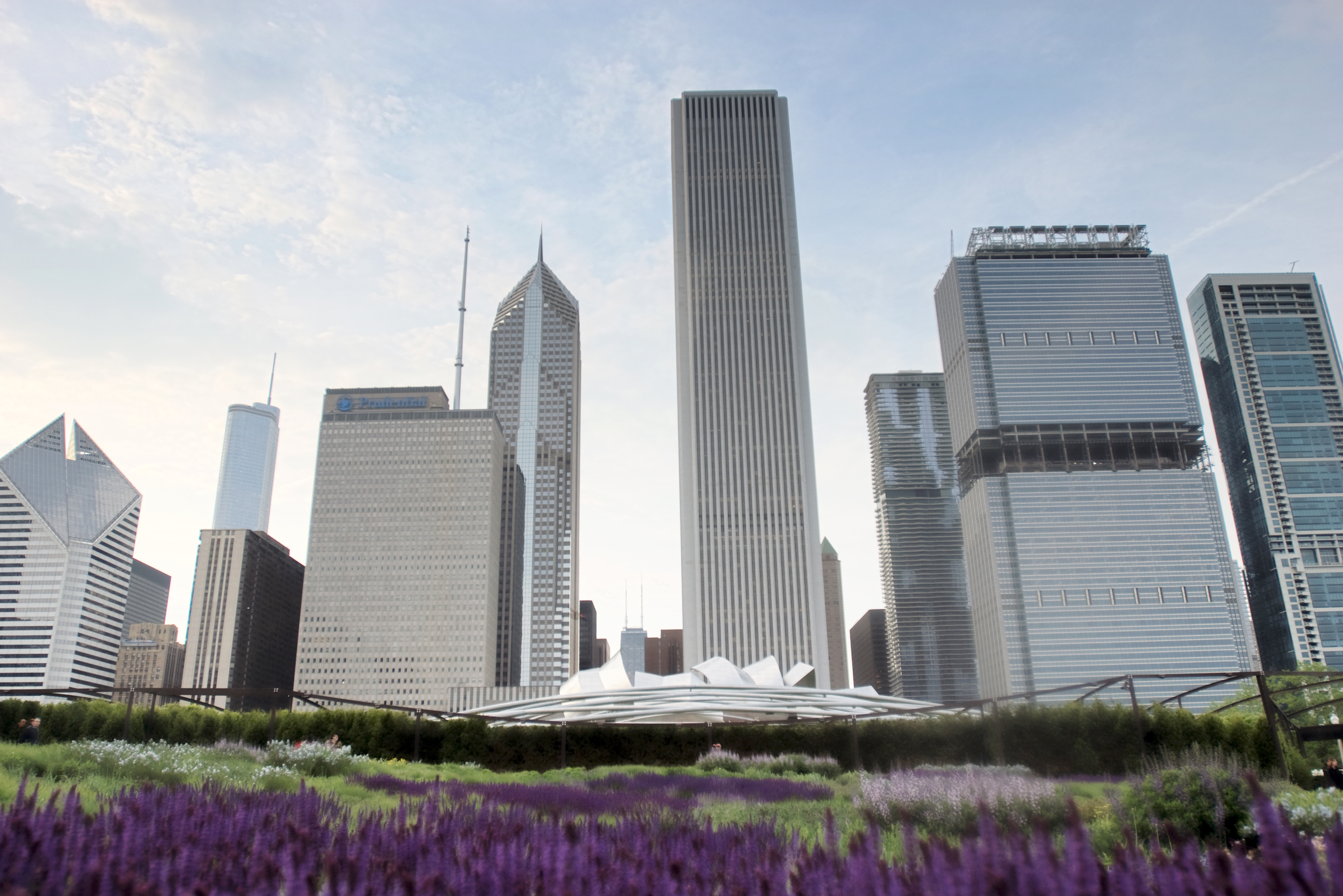 Lurie Garden, Chicago, by Piet Oudolf
