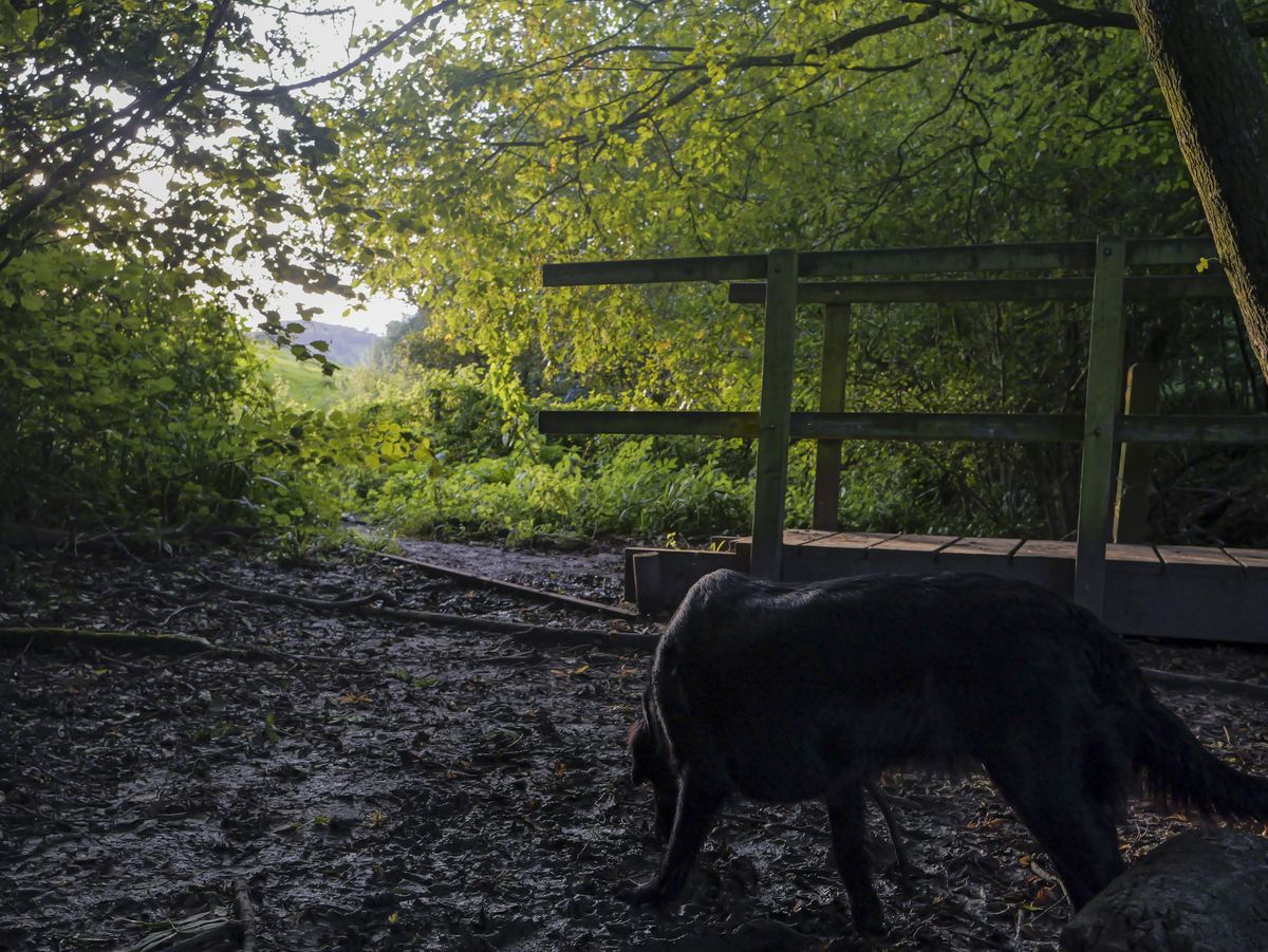 Test shots with the Panasonic Lumix G9 II