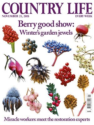 Country Life cover November 21 2018