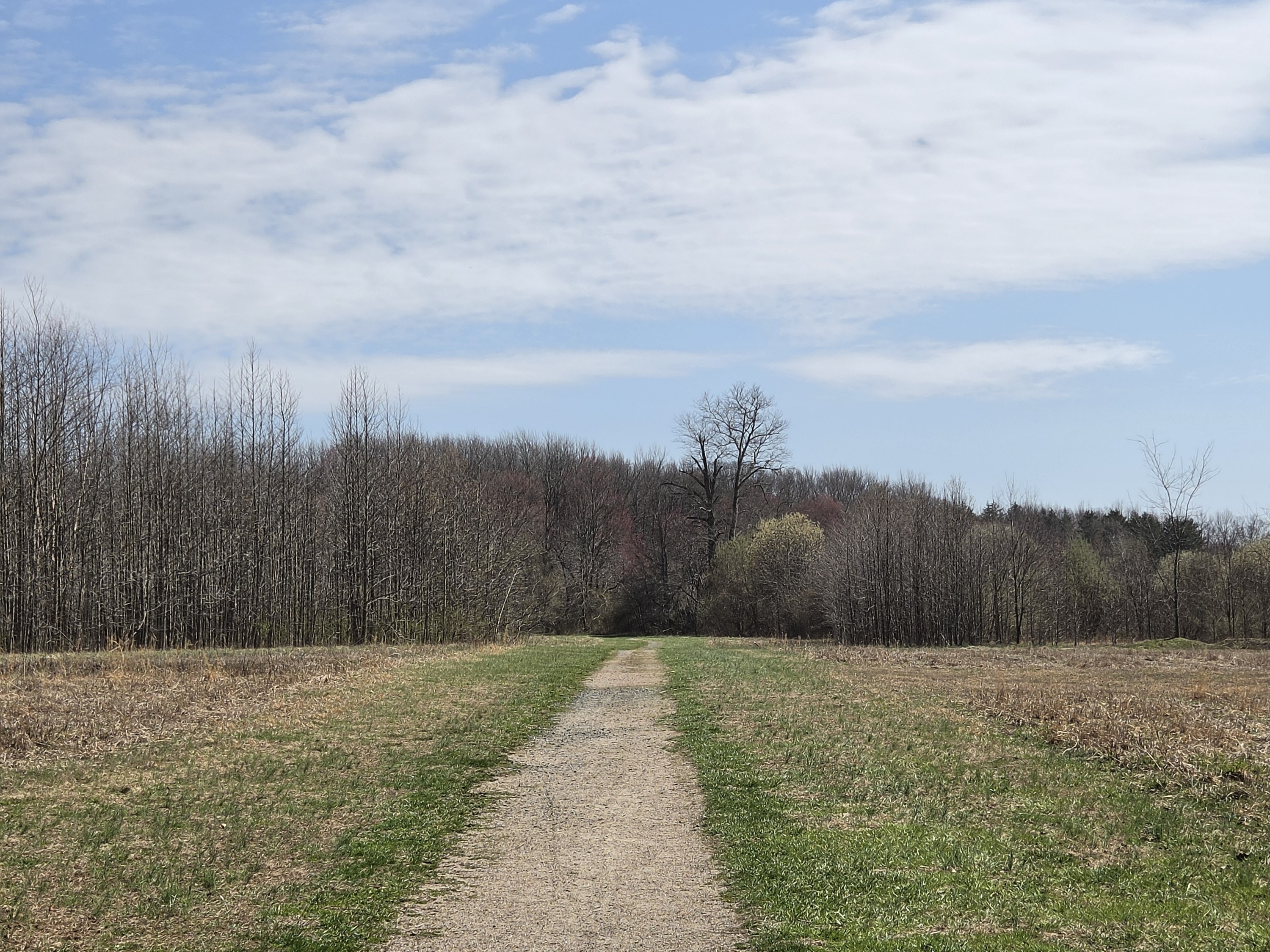 Samsung Galaxy S26 Plus Review Camera Samples