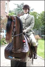 horsesimulator.jpg