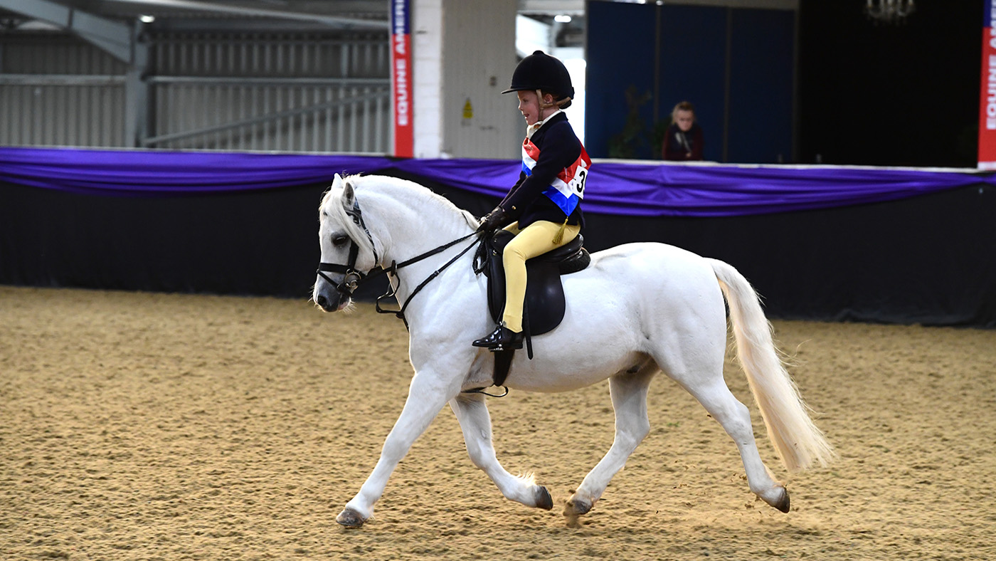 Heritage Show 16.10.22Heritage Supreme Mini Champs.No. 398 Islyn Arafa Don
