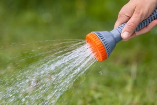 person holding a garden hose with sprinkler attachment