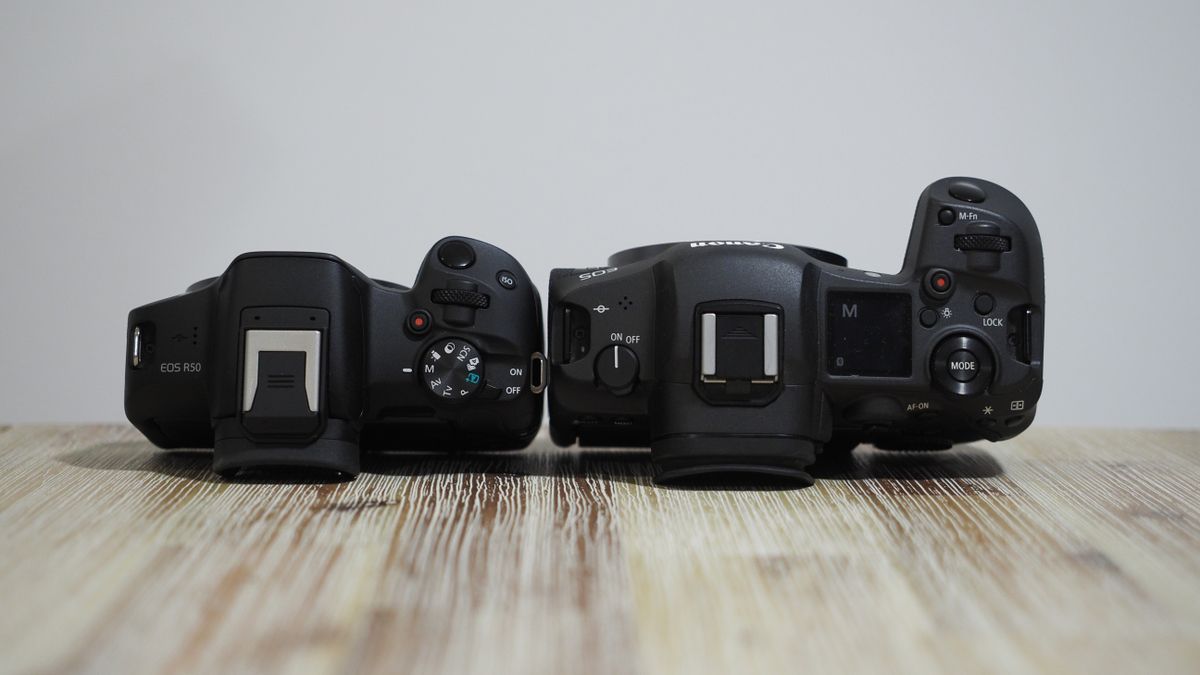 Canon EOS R50 next to Canon EOS R5
