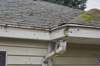 View of a mossy roof line of a house missing gutters - stock photo