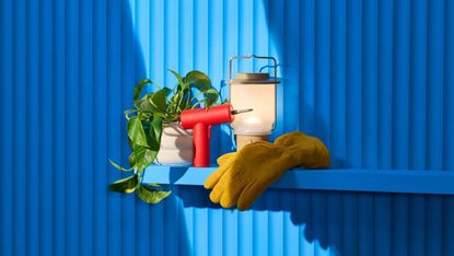 A glove, drill, plant and lantern sitting on a blue shelf on a blue wall.