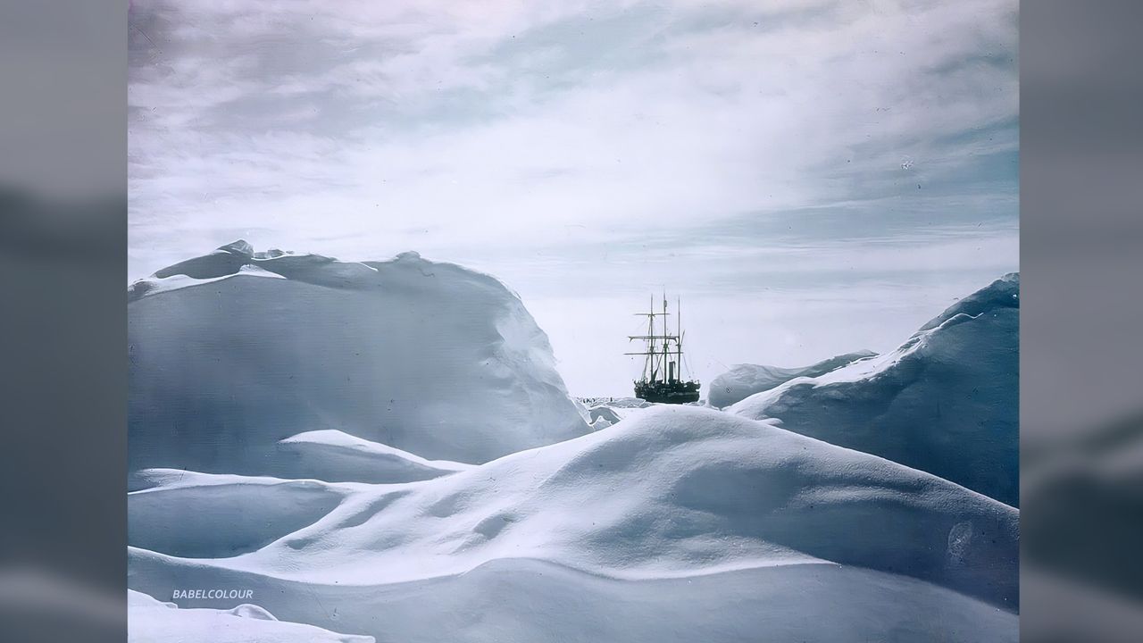 Shackleton recolored.