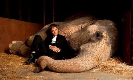 Robert Pattinson in his movie &amp;quot;Water for Elephants,&amp;quot; which drew $17.5 million opening weekend from an older audience than the Twilight star is used to.