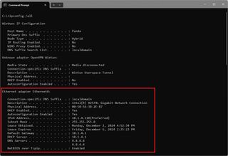 Windows 11 ipconfig all