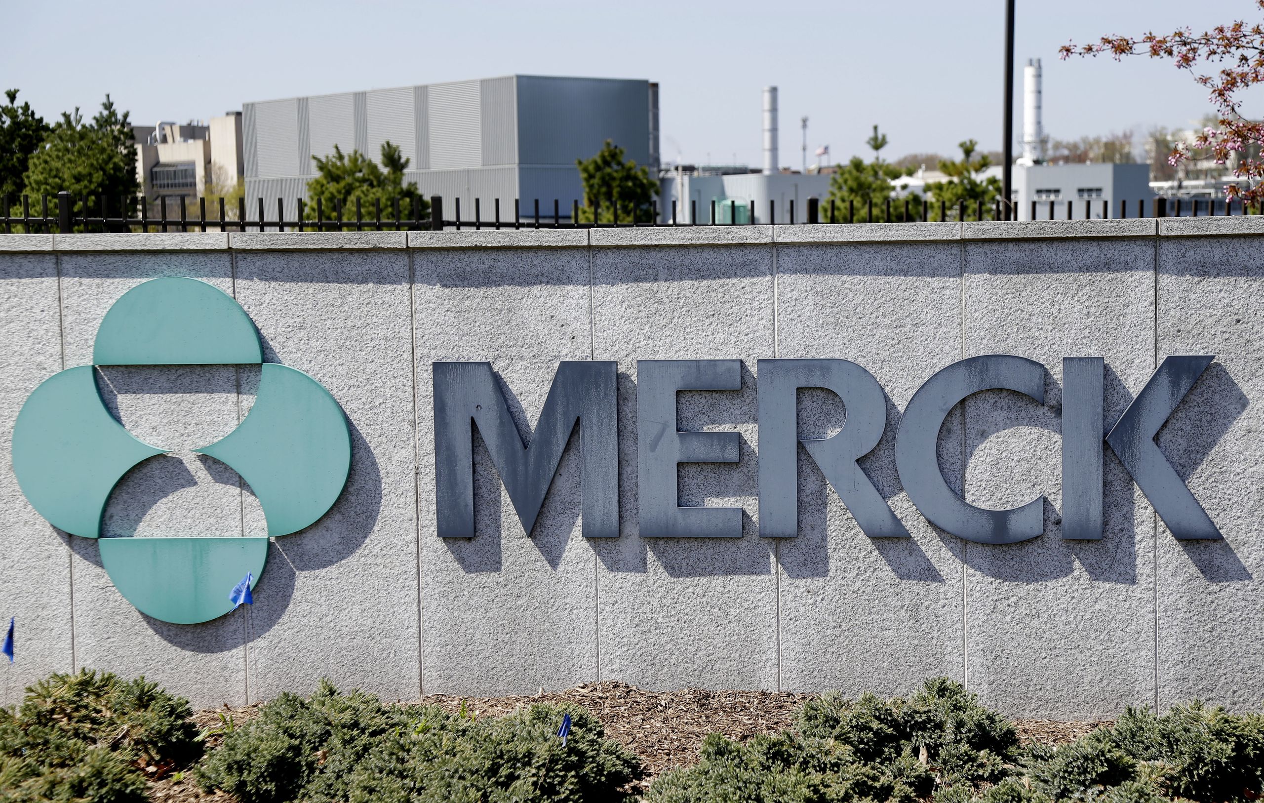 Inadequate immune responses force Merck to abandon COVID-19 vaccines ...