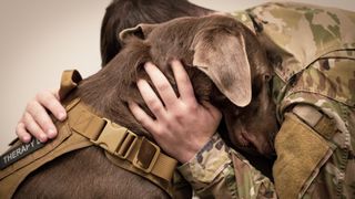 therapy dog with soldier