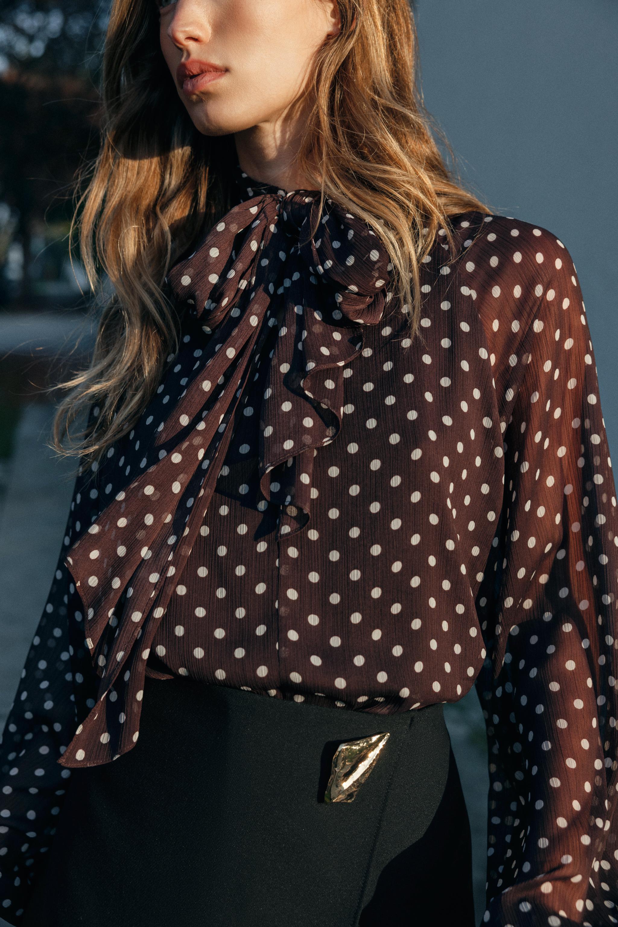 ZARA Polka Dot Print Blouse