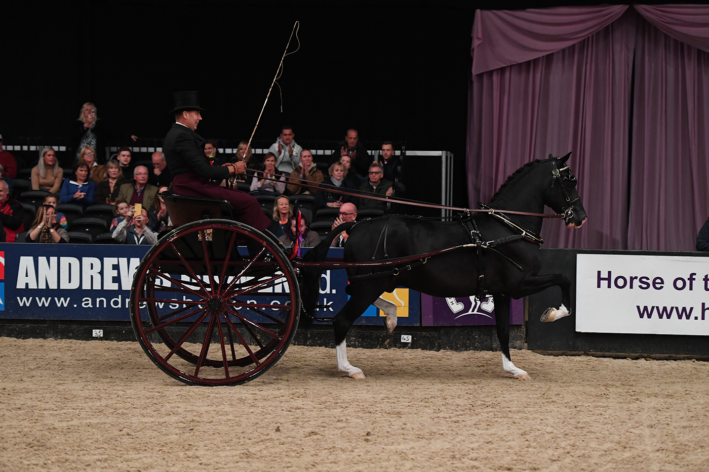 HOYS 06 10 21