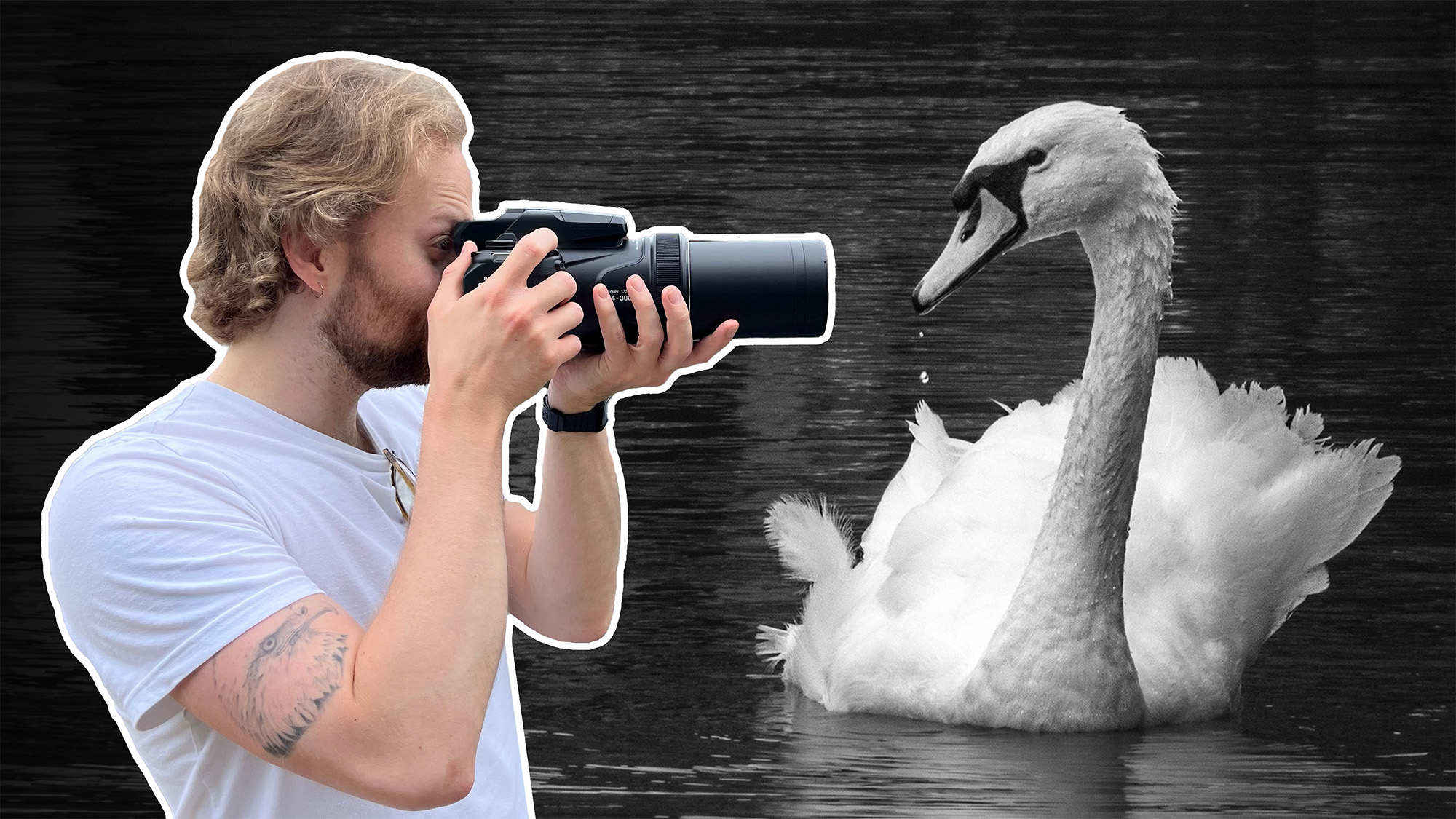 Mike Harris holding Nikon P1100 side-on next to black and white image of a swan 