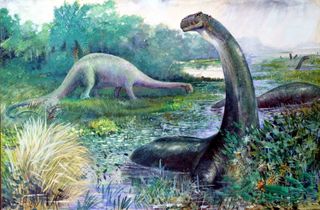 In this historic reconstruction, Brontosaurus is shown as a semi-aquatic animal, while Diplodocus roams the land.