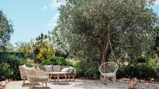 Relaxing exterior garden with swing chair and outdoor sofa and a large olive tree