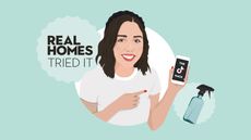 real homes we tried it cleaning logo millie hurst