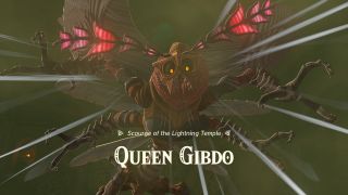 Lightning temple boss Queen Gibdo flying
