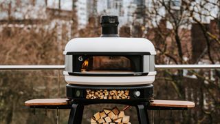 Gozney Dome pizza oven review