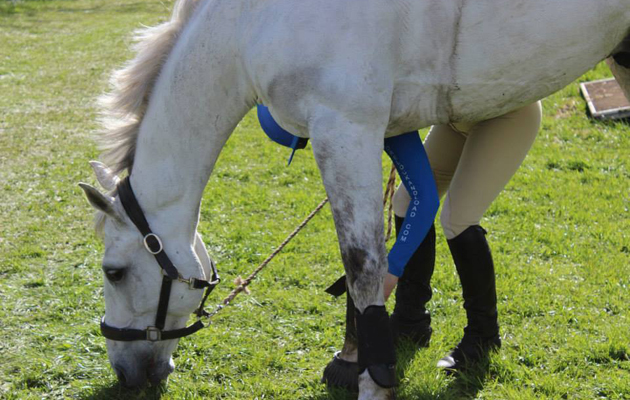heythrop extra