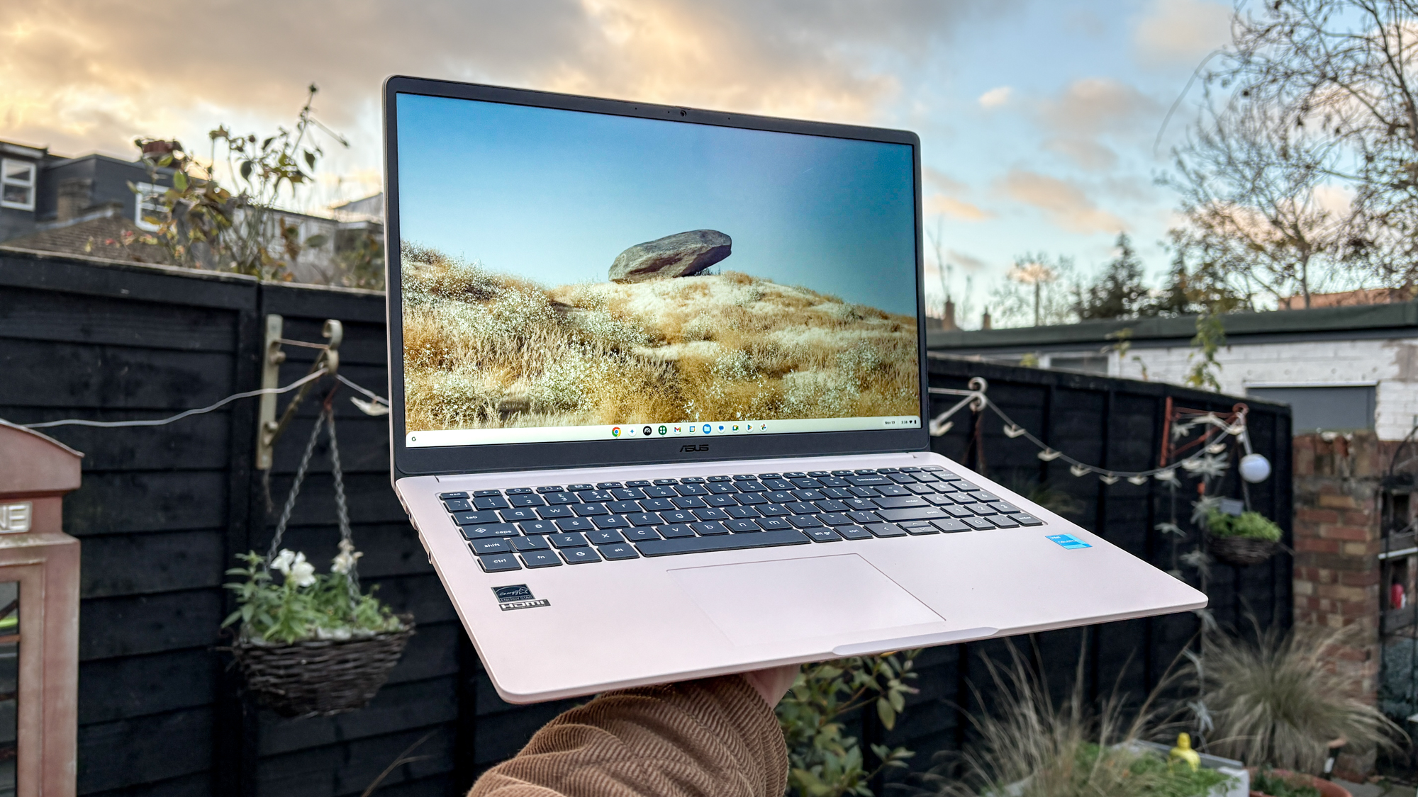 Asus Chromebook CX15