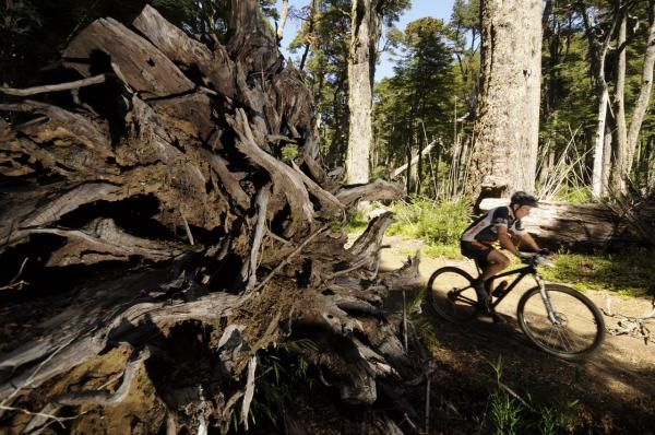 A racer during stage 4 of the Trans Andes
