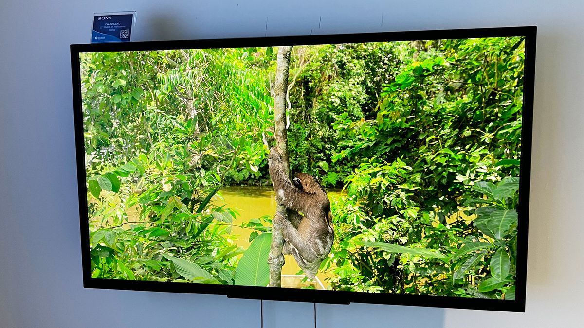 No one is aware of about Sony’s 32-inch 4K TV – however they need to