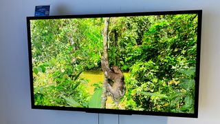 Sony FW-32BZ30J TV mounted on wall with a nature video playing