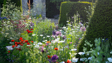 Garden by Cleve West