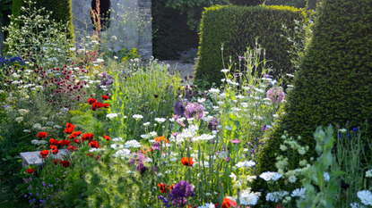 Garden by Cleve West