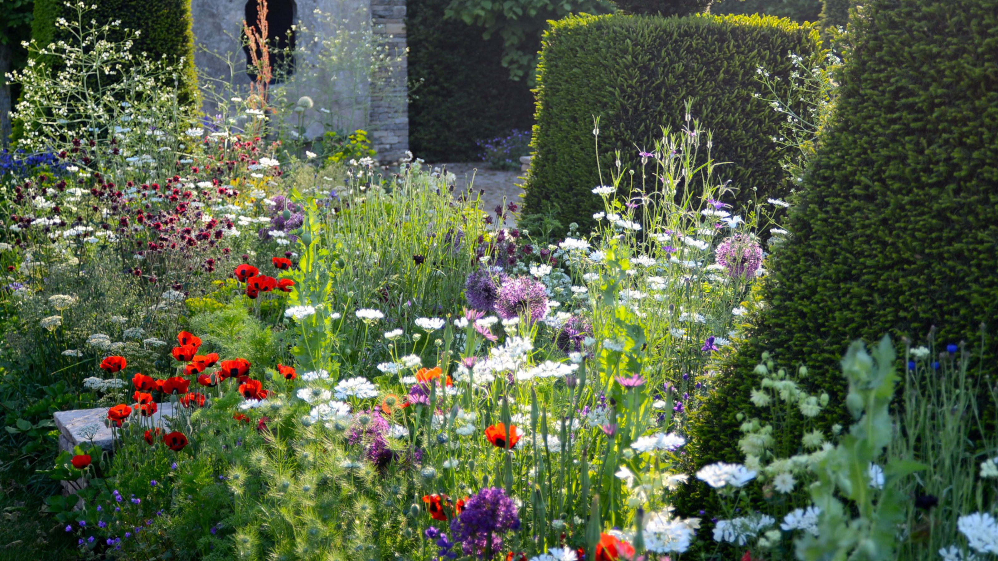 Garden by Cleve West
