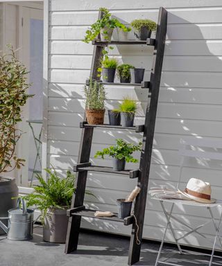 garden area with potted plants on ladder shelf