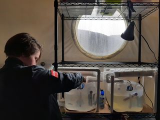 Crew Bioengineer Zoe Maxwell takes care of her experiment focusing on the growth of perchlorate eating bacteria in an aquaponics system with fish for the sustainable filtration of perchlorate present on Mars.
