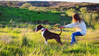 Dog pulling on leash