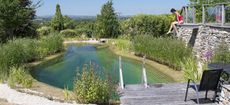 What you need to know about having a natural swimming pool in your garden