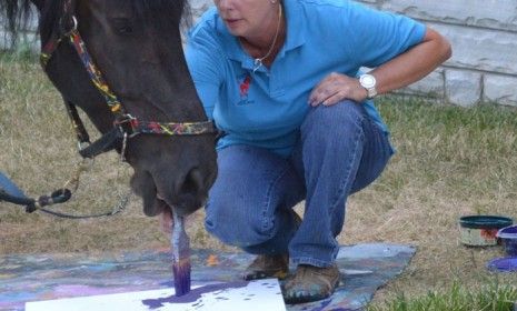 Justin the horse paints on a canvas with his owner, in Lexington, Kentucky.