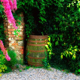 An old oak water barrel in a secluded garden in Ireland