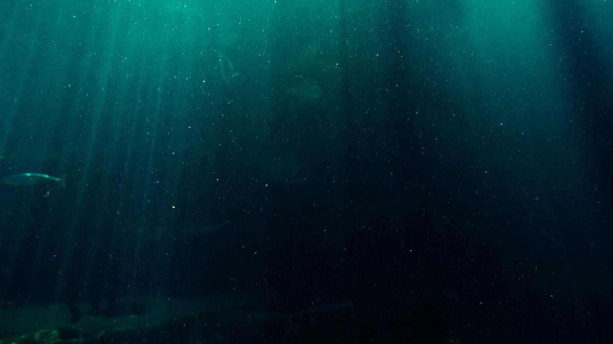 Deep sea water 