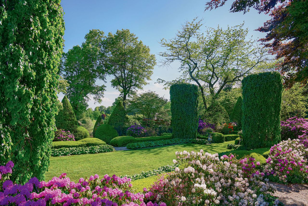 The main garden room of the central terrace. Clipped columnar weeping beeches stand at each end and flowering rhododendrons can be seen in the foreground. A row of hostas at the far side is framed by a low wall of clipped yew, with larger topiary beyond. The gardens at Wethersfield.  ©Pieter Estersohn