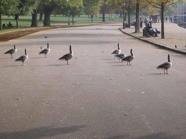 Hopefully these pedestrians will be kept off the road come July
