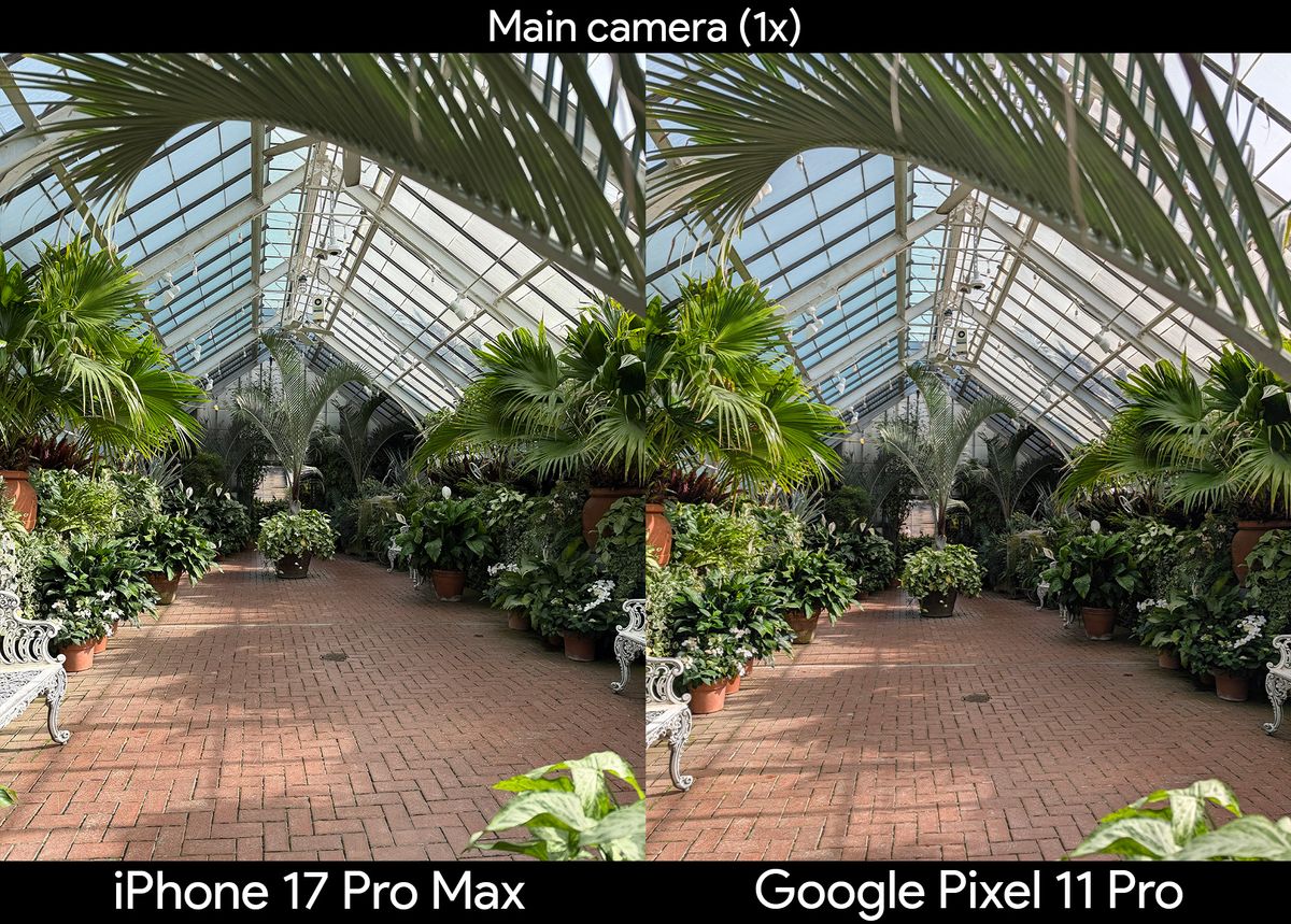 Comparing two photos of plants in a greenhouse between the iPhone 17 Pro Max and Google Pixel 11 Pro