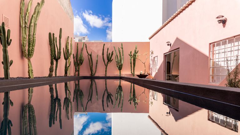 ANA ANA Portugese design tips, swimming pool with cacti
