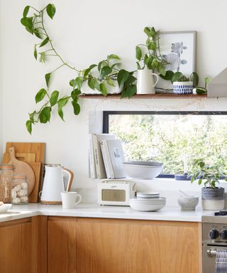 modern coastal kitchen with wooden cupboards and open shelving