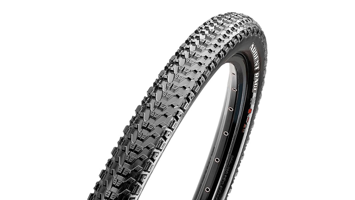 Maxxis MTB tires – a comprehensive range overview | BikePerfect