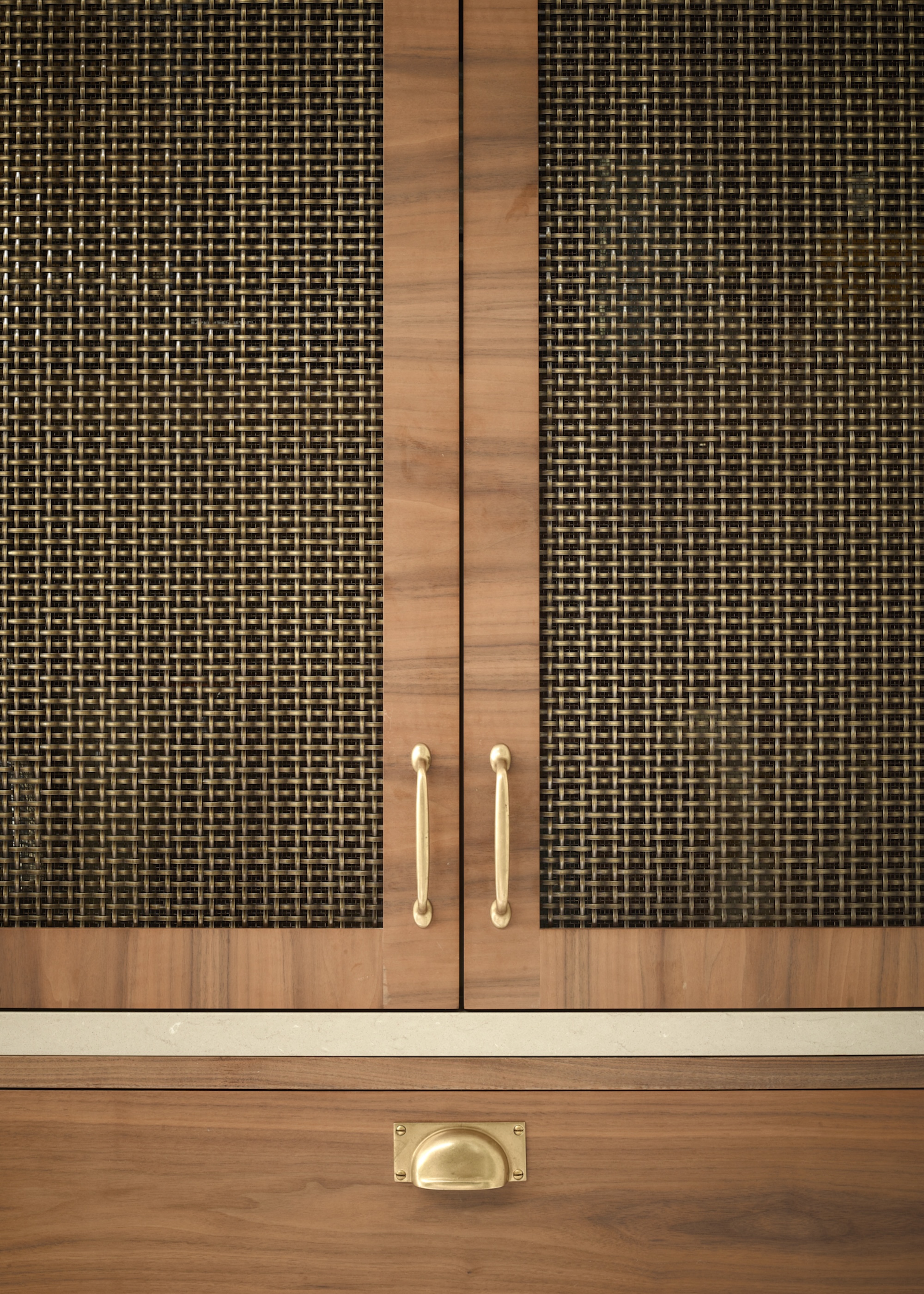 A close up shot of a mesh kitchen cabinet door