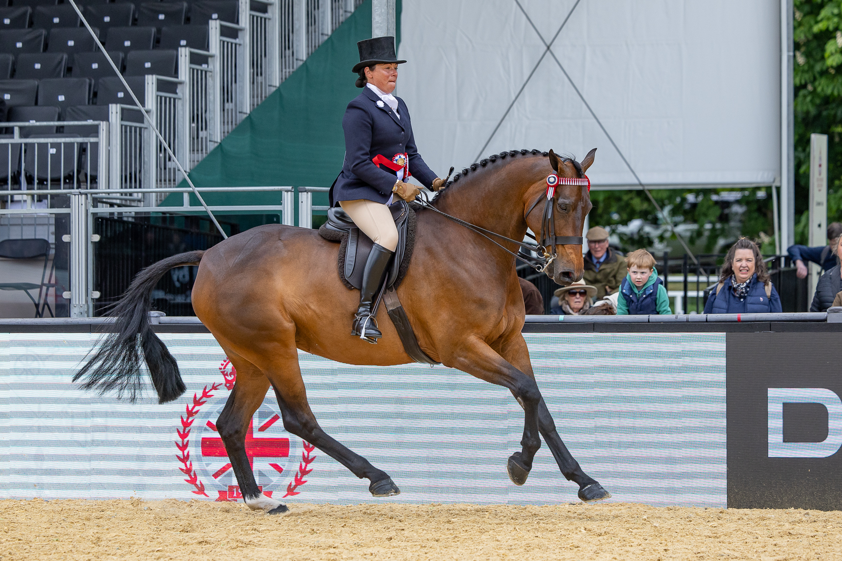 Tremarl Timpani and Vicky Smith, the overall riding horse champions at Royal Windsor 2026 canter out on their lap of honour